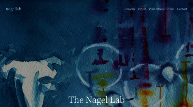 nagellab.com