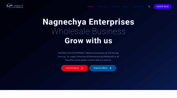 nagnechyaenterprises.unaux.com