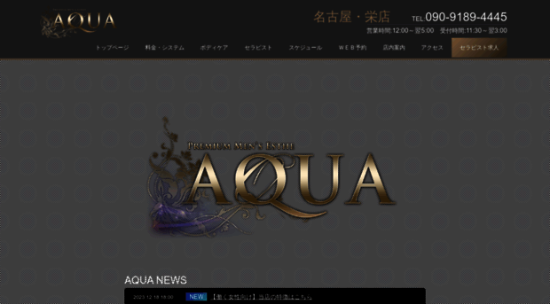 nagoya-aqua.com