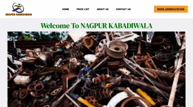 nagpurkabadiwala.com