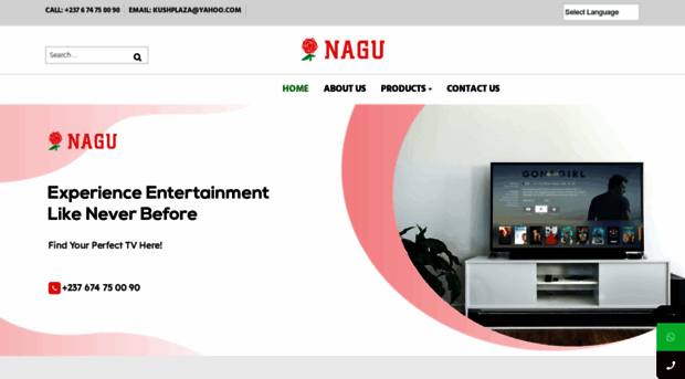 nagugroup.com