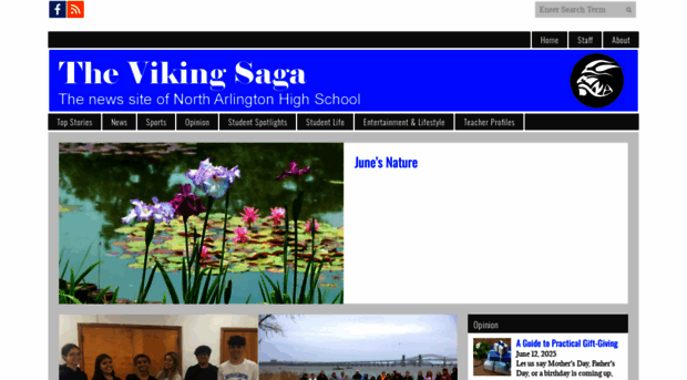 nahsvikingsaga.org
