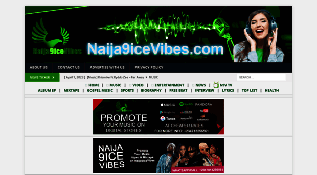 naija9icevibes.com