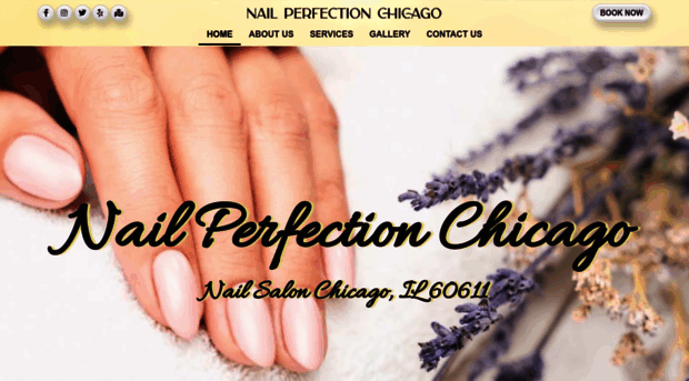 nailperfectionchicago.com