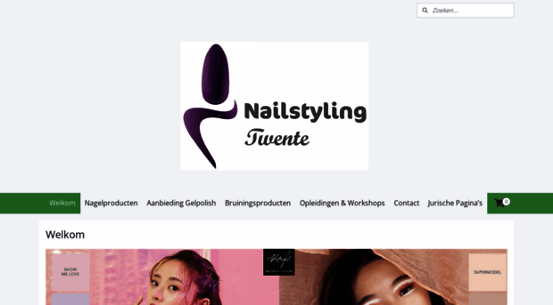 nailstylingtwente.nl