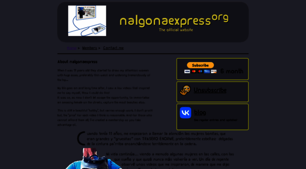 nalgonaexpress.online