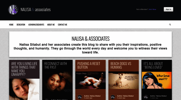 nalisa-associates.com