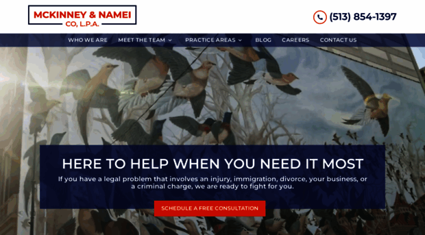 nameilaw.com