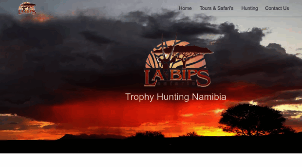 namibia-hunting.net