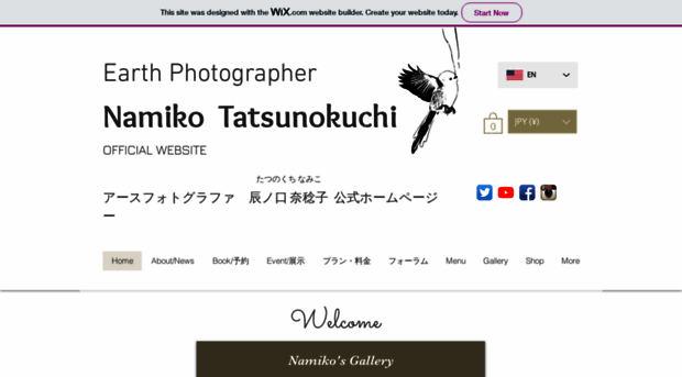 namikotatsunokuchi.com