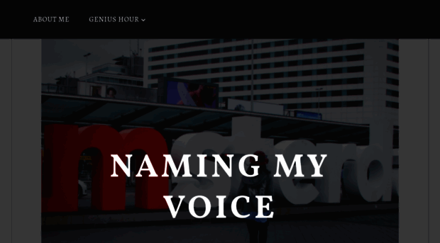 namingmyvoice.wordpress.com