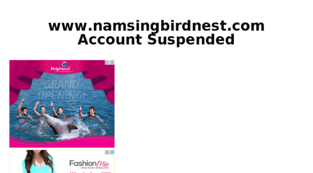 namsingbirdnest.com