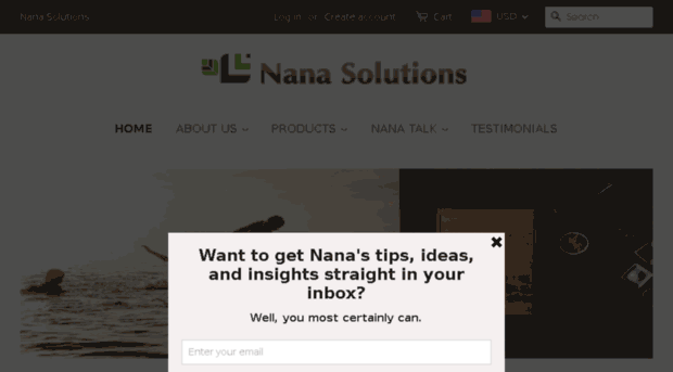 nanasolutions.co