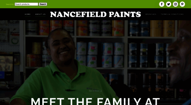 nancefieldpaints.co.za