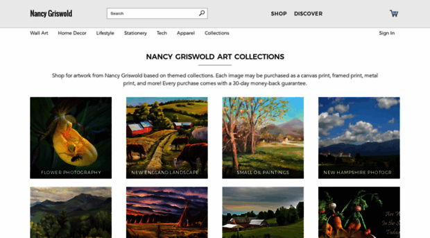 nancy-griswold.artistwebsites.com