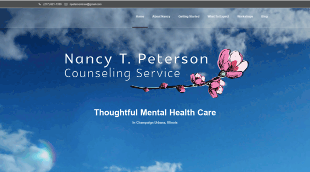 nancypetersoncounseling.com