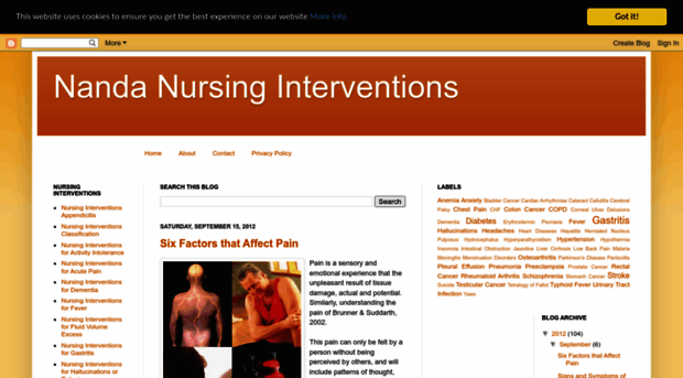 nanda-nursinginterventions.blogspot.com.au