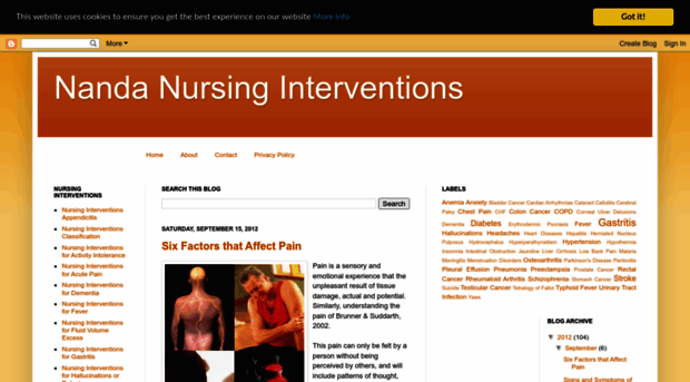 nanda-nursinginterventions.blogspot.in