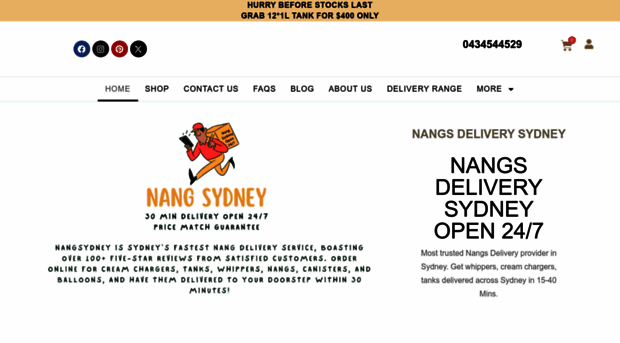 nangsydney.com