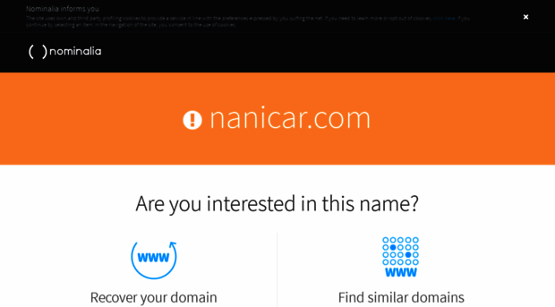 nanicar.com