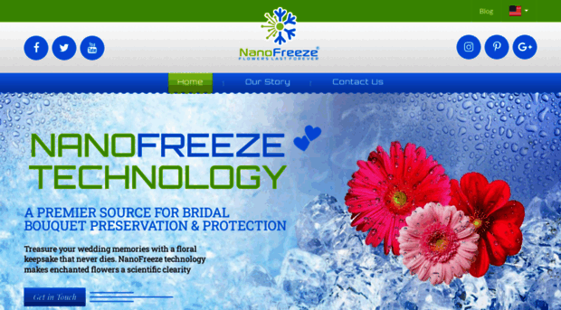 nano-freeze.com