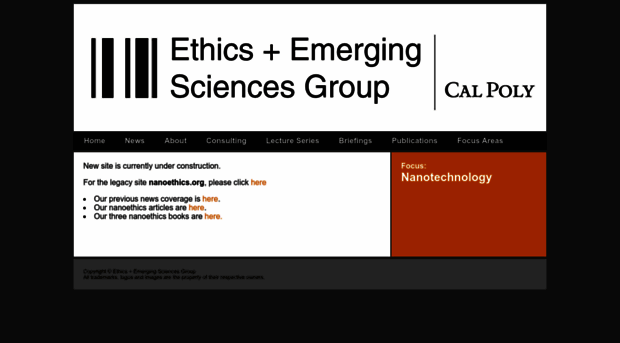 nanoethics.org