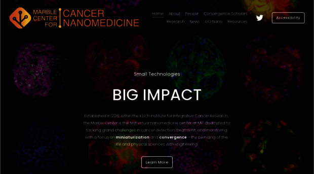 nanomedicine.mit.edu