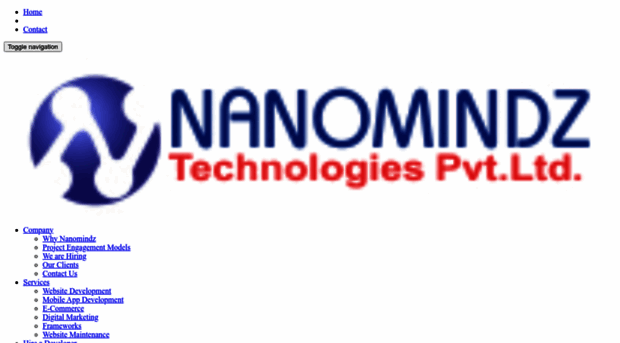 nanomindz.com