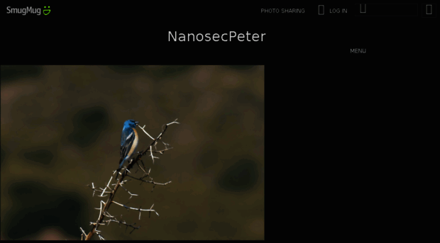 nanosecpeter.smugmug.com