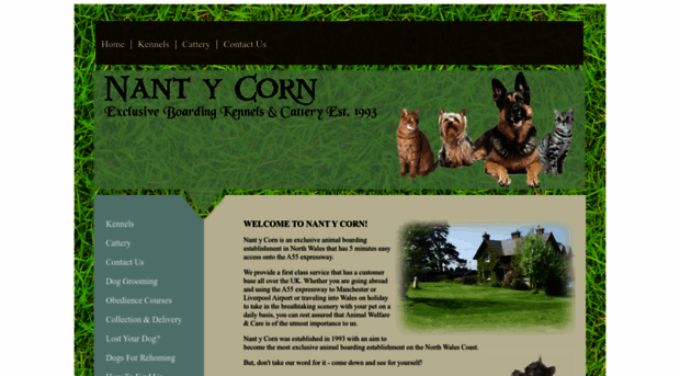 nantycorn.com