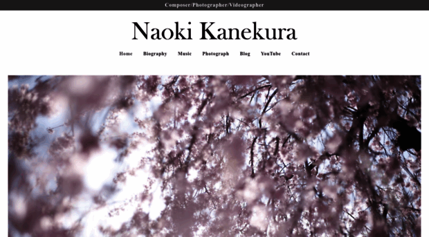 naoki-kanekura.com