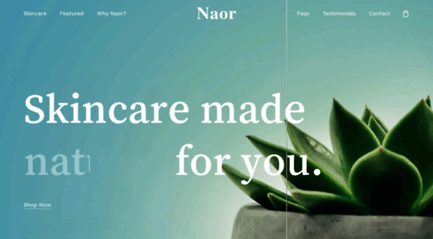 naorskincare.com