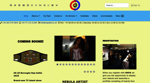 napaltd.co.uk