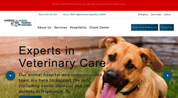 napervilleanimalhospital.com