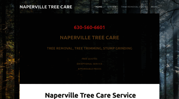 napervilletreecare.com