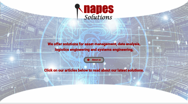 napessolutions.com