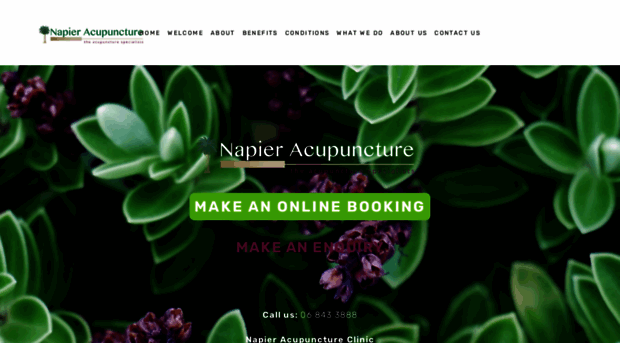 napieracupuncture.co.nz