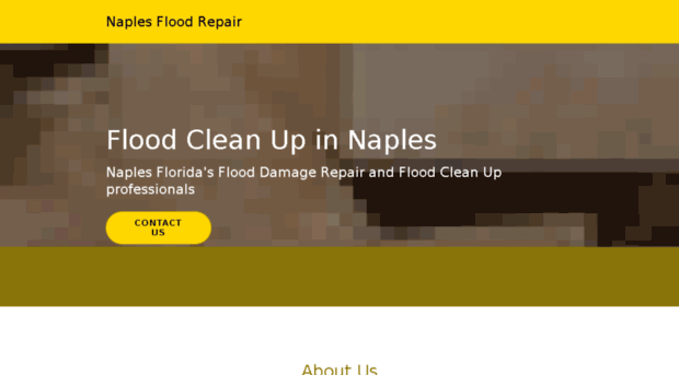 naplesfloodrepair.com