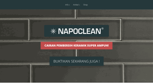 napoclean.com