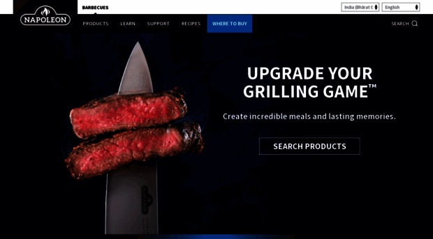 napoleongrills.in