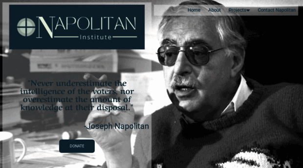 napolitaninstitute.org