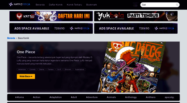 narasininja.net