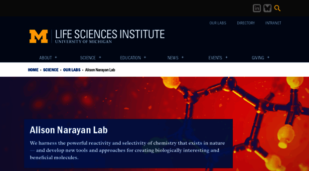 narayanlab.com