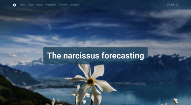 narcisses.com