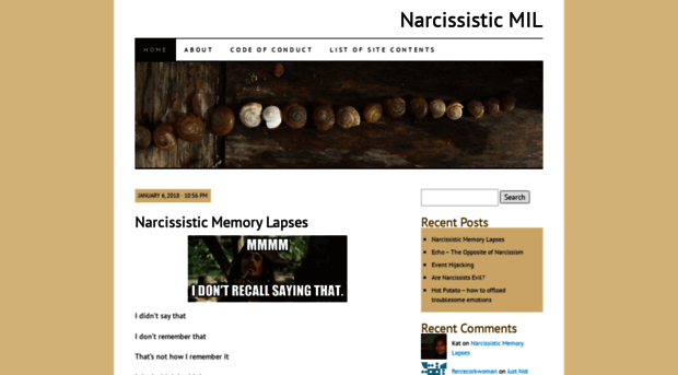 narcissisticmil.wordpress.com