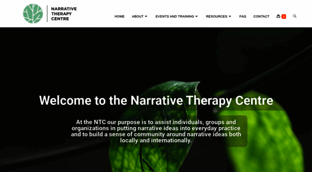 narrativetherapycentre.com