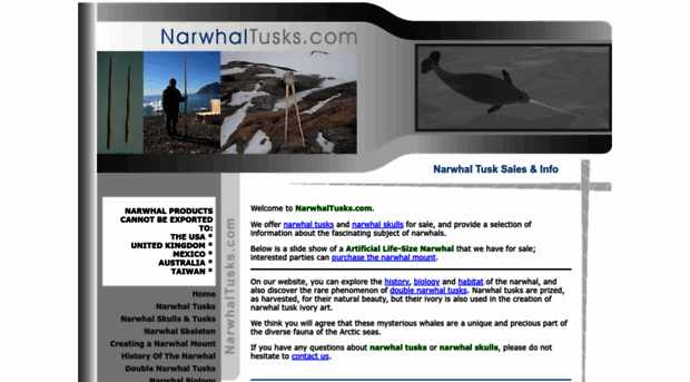 narwhaltusks.com