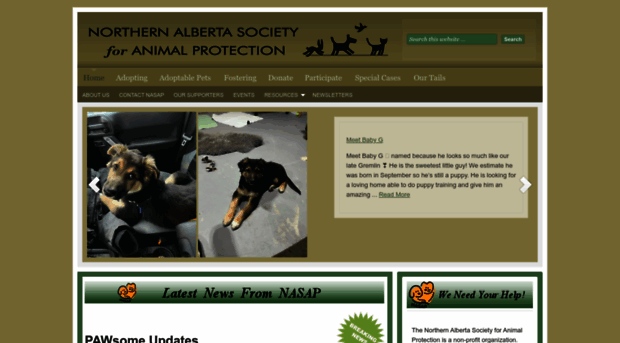 nasap.ca