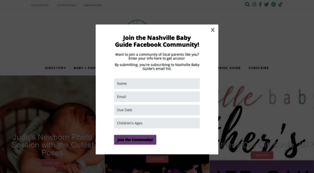 nashvillebabyguide.com