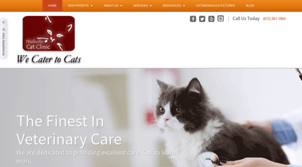 nashvillecatclinic.com